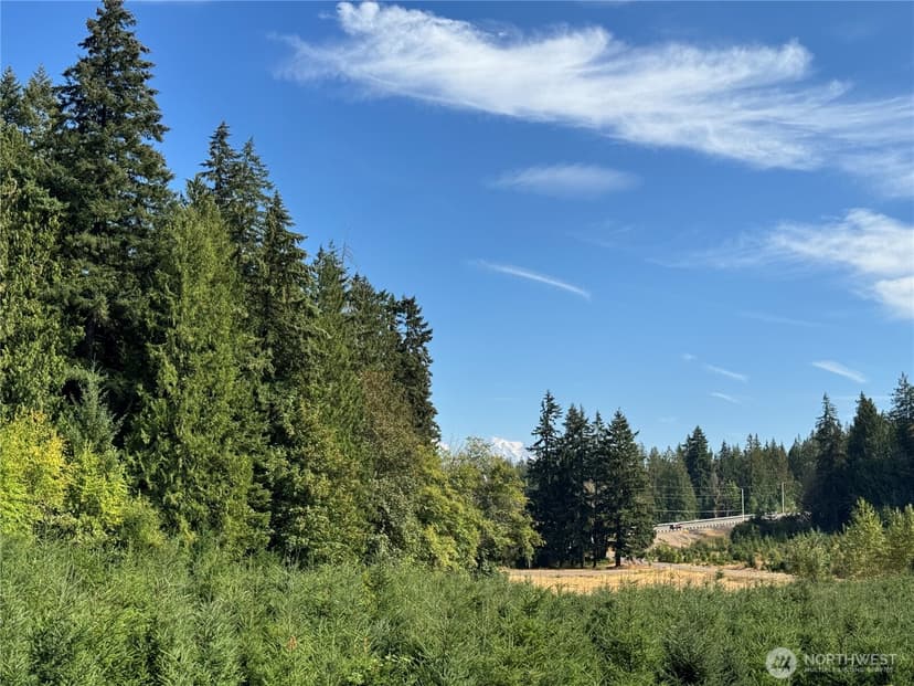 Property photo for 12905 195th Ave Court E, Bonney Lake photo 29