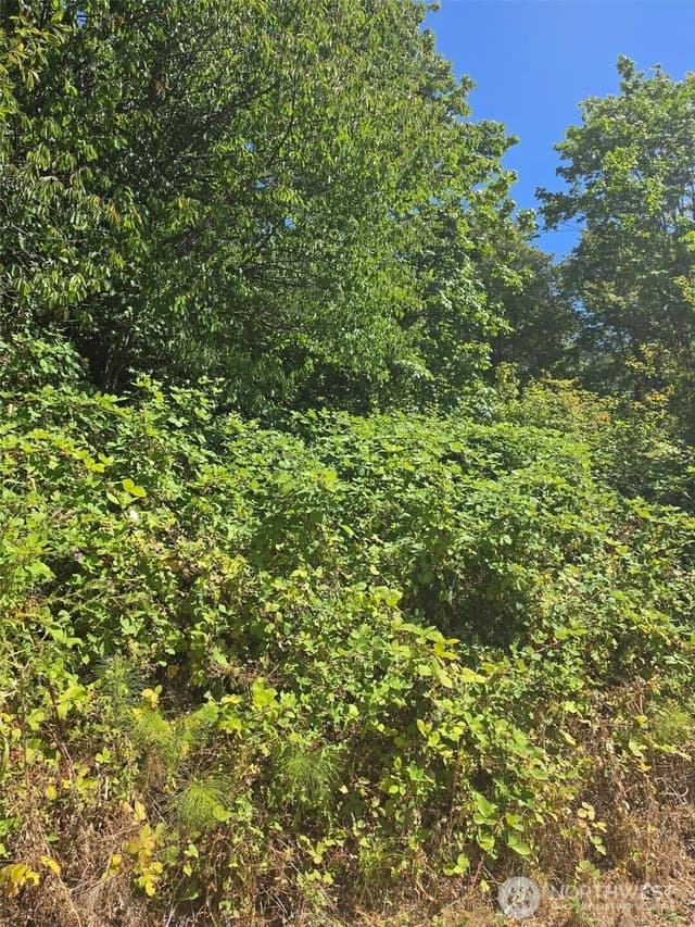 Property photo for 250 X Callow Road, Lake Stevens photo 3