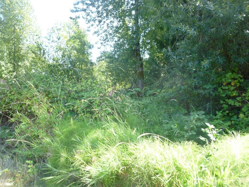 Property photo for 0 Larch Way, Lynnwood photo 7