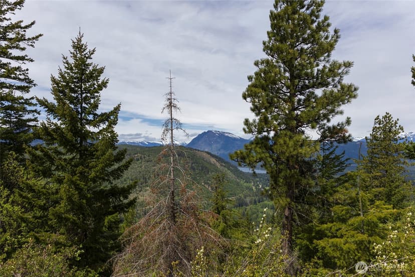 Property photo for 0 Forest Service 6601-550 Rd #B, Leavenworth photo 2
