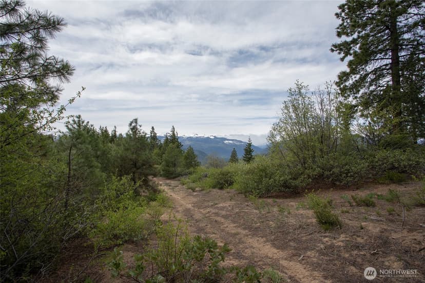 Property photo for 0 Forest Service 6601-550 Rd #C, Leavenworth photo 2