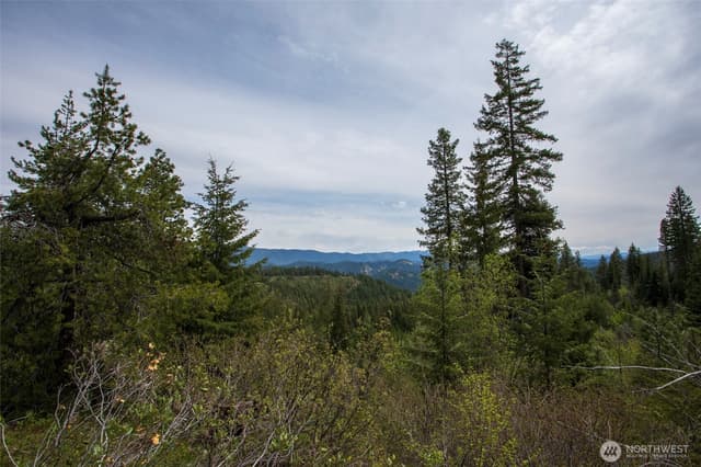 Property photo for 0 Forest Service 6601-550 Rd #D, Leavenworth