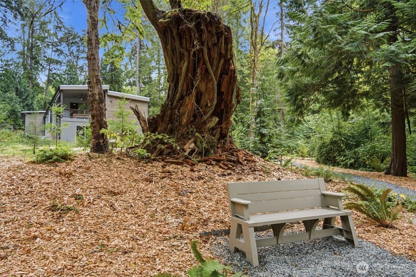 Property photo for 9720 NE Lofgren Road, Bainbridge Island photo 30