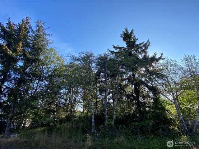Property photo for 364 Duck Lake Drive SE, Ocean Shores photo 5