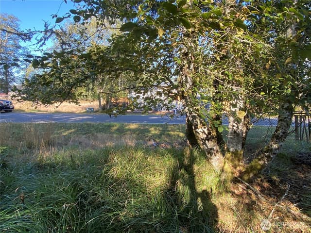Property photo for 364 Duck Lake Drive SE, Ocean Shores photo 3