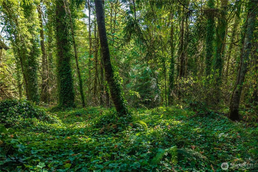Property photo for 8051 NE Paulanna Lane, Bainbridge Island photo 8