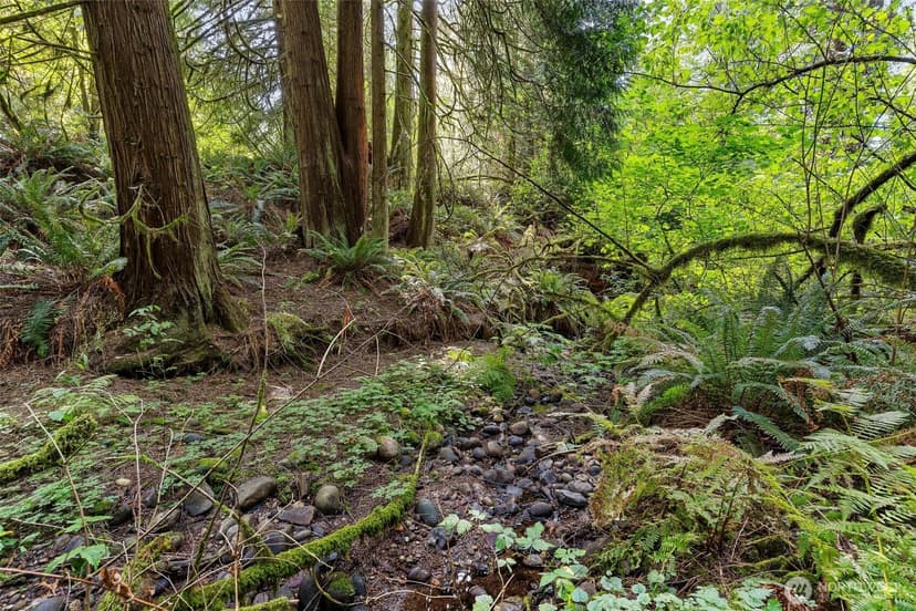 Property photo for 0 Lot 6 N High Rock Road, Monroe photo 17