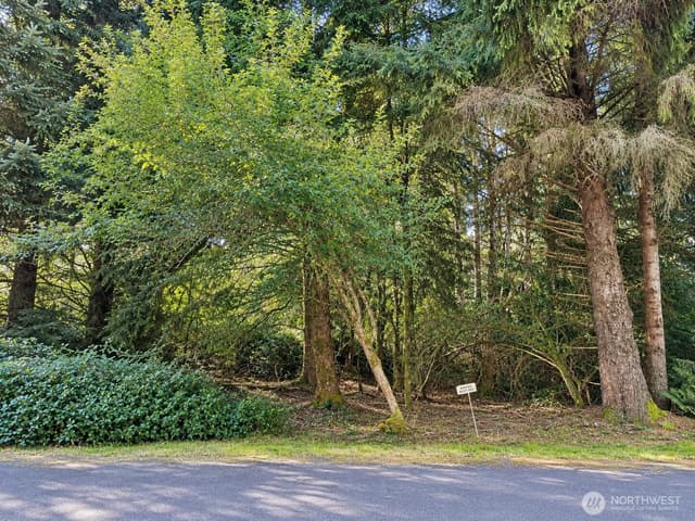 Property photo for 339 Redwood Court SE, Ocean Shores photo 3