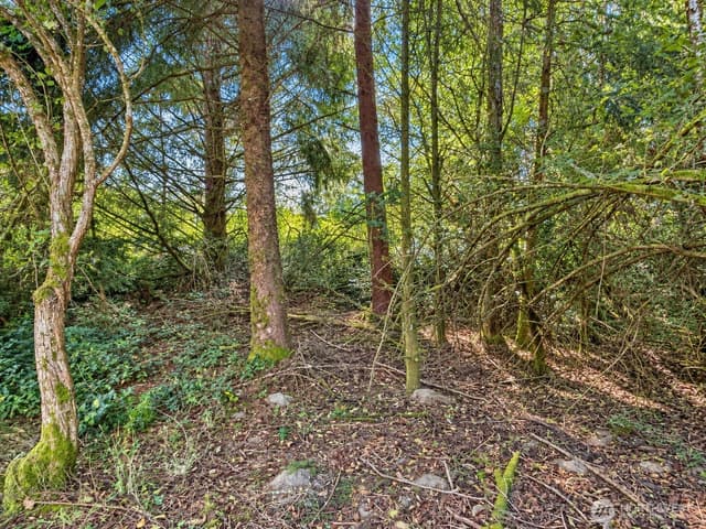 Property photo for 339 Redwood Court SE, Ocean Shores photo 2