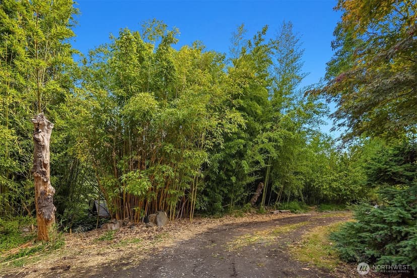 Property photo for 4520 47th Avenue S, Seattle photo 26