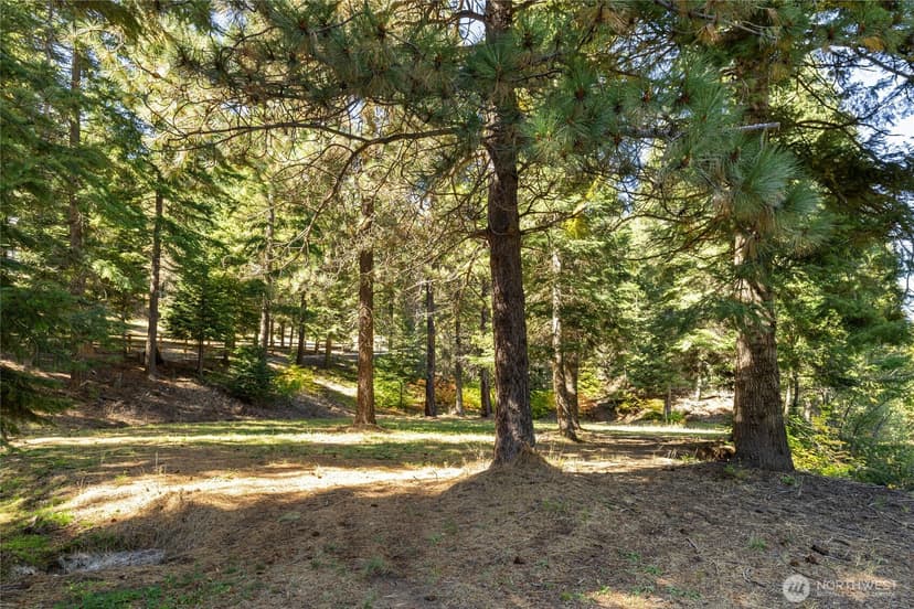Property photo for 451 Wagon Wheel Road, Cle Elum photo 34