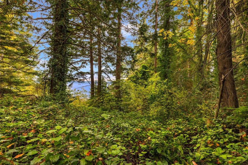 Property photo for 4911 Arcadia Road, Tulalip photo 52