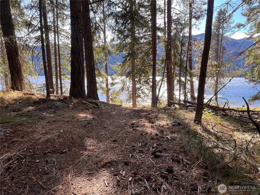 Property photo for 16150 Telemark Lane, Leavenworth photo 35