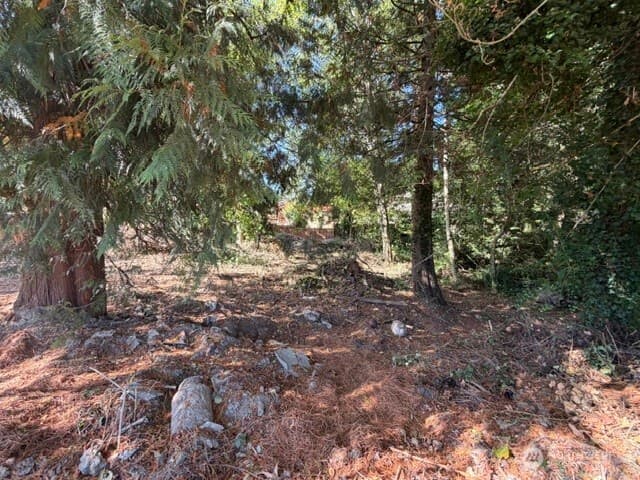 Property photo for 37305 34th Avenue S, Auburn photo 3
