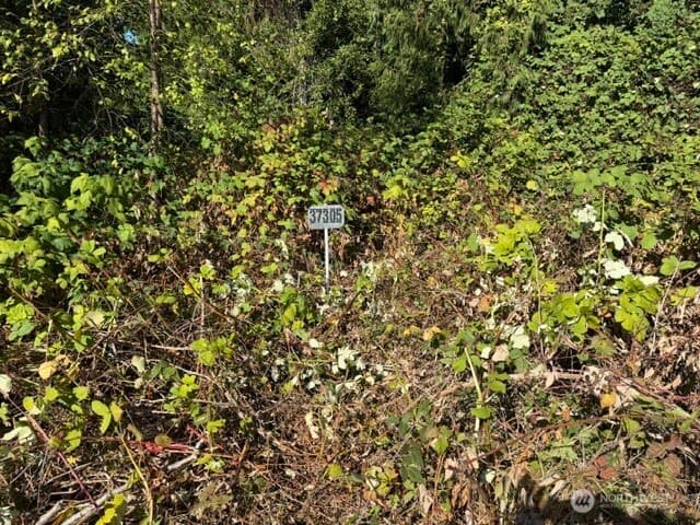 Property photo for 37305 34th Avenue S, Auburn photo 6