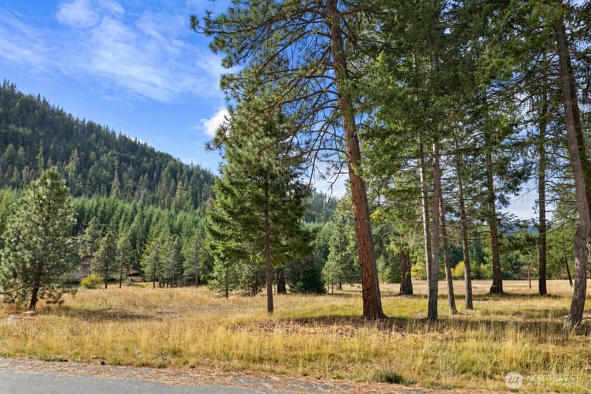 Property photo for 27 Domerie Park Loop, Cle Elum photo 5
