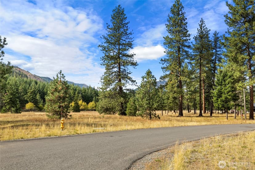 Property photo for 27 Domerie Park Loop, Cle Elum photo 32