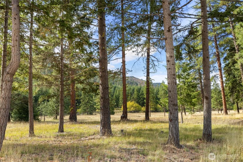 Property photo for 27 Domerie Park Loop, Cle Elum photo 4