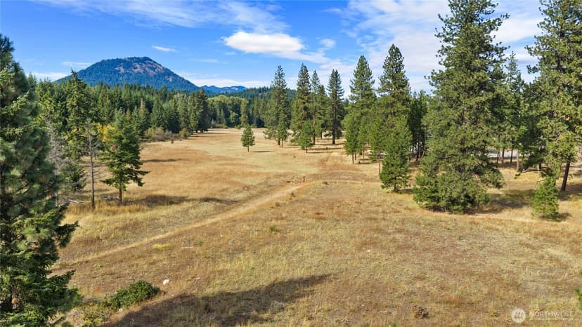Property photo for 27 Domerie Park Loop, Cle Elum photo 8