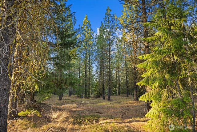 Property photo for 131 Gold Leaf Lane, Cle Elum photo 5