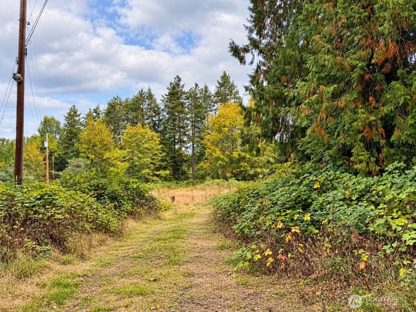 Property photo for 18646 Byers Road SE, Maple Valley photo 5