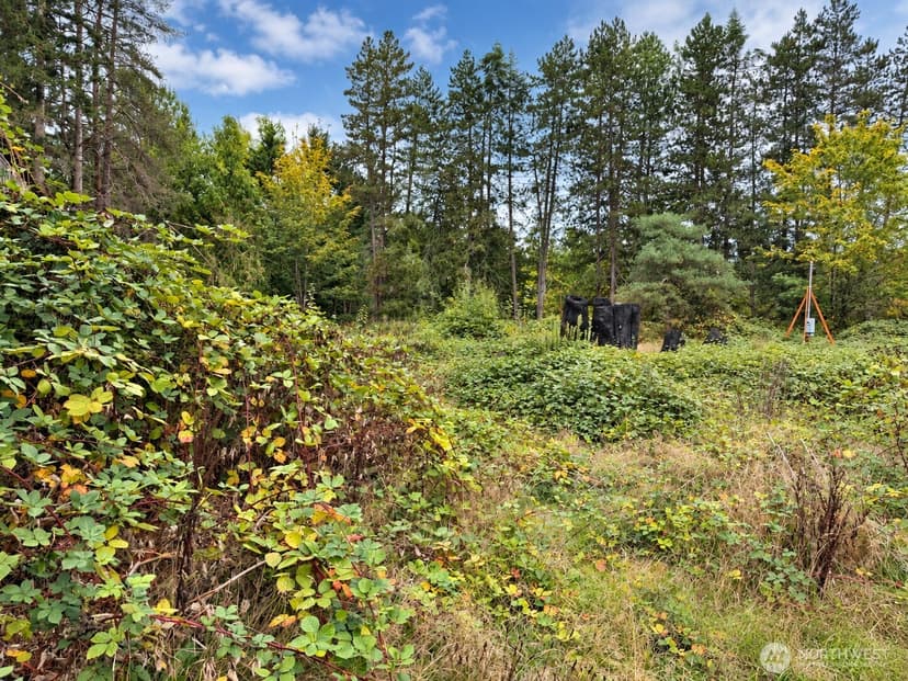 Property photo for 18646 Byers Road SE, Maple Valley photo 6