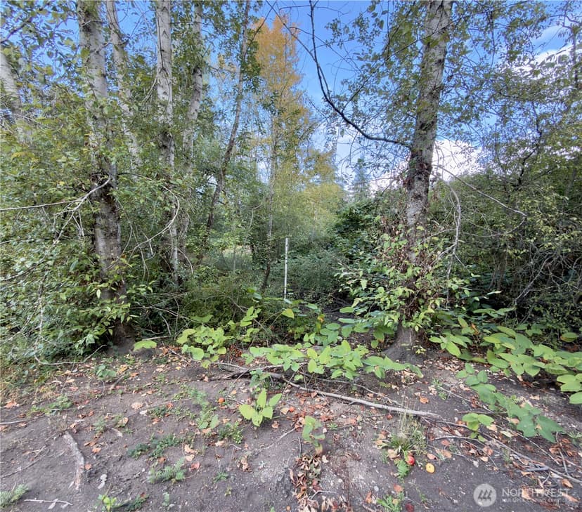 Property photo for 608 SW 142nd Street, Burien photo 23