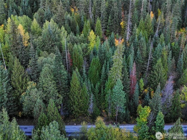 Property photo for 25495 White River Road, Leavenworth photo 4