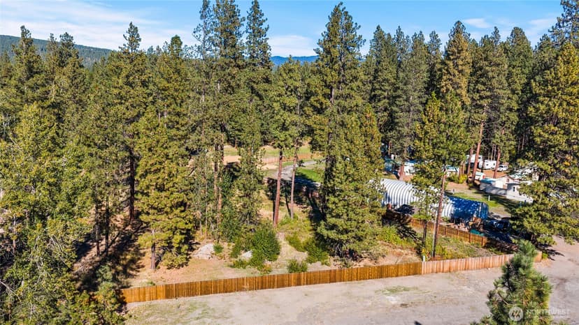 Property photo for 0 SR 970, Cle Elum photo 19