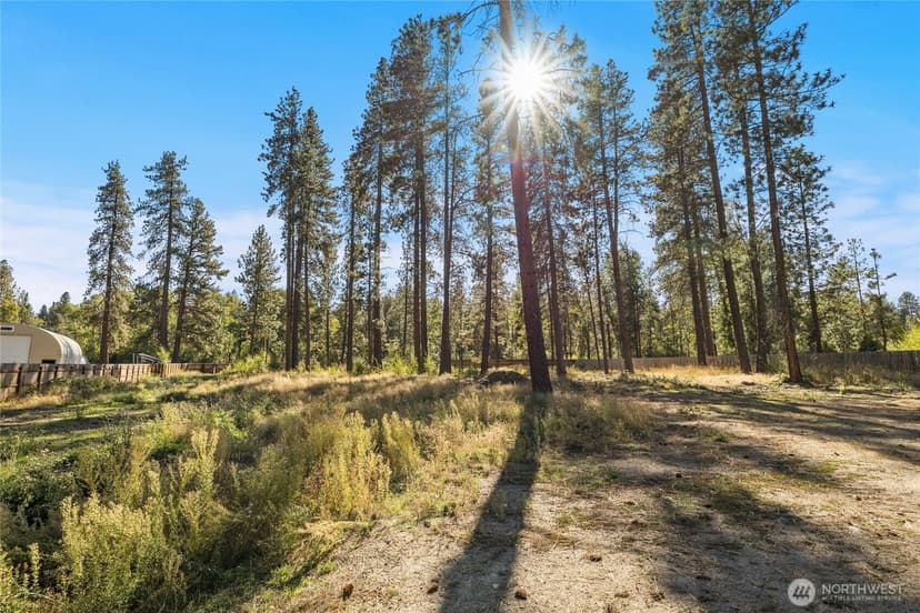Property photo for 0 SR 970, Cle Elum photo 5