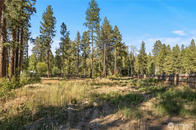 Property photo for 0 SR 970, Cle Elum photo 3
