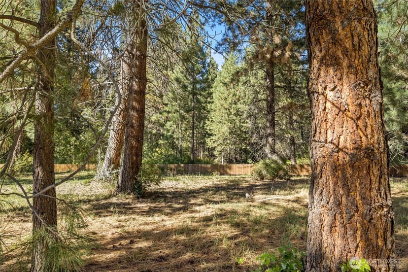 Property photo for 0 SR 970, Cle Elum photo 9