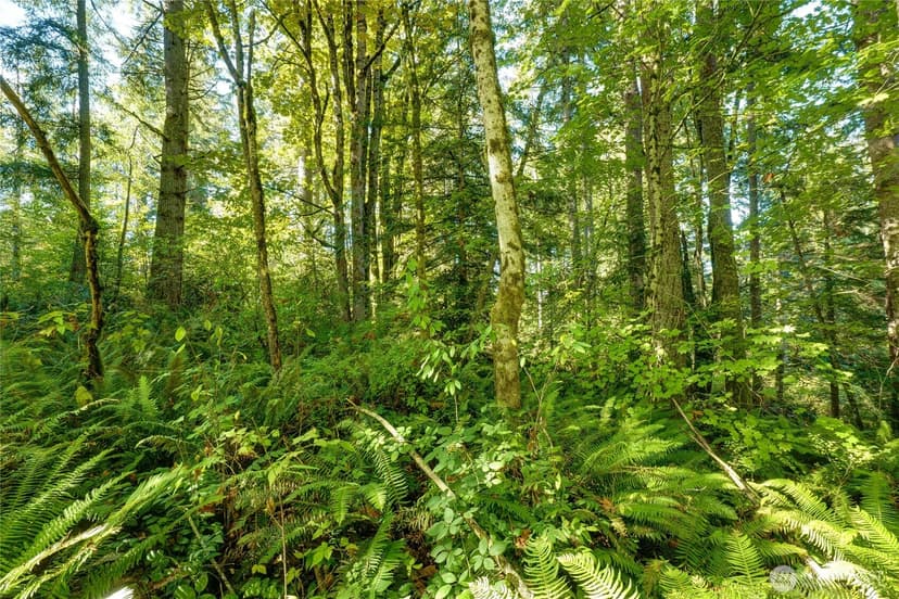 Property photo for 37000 SE 93rd Place, Snoqualmie photo 13