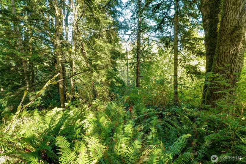 Property photo for 37000 SE 93rd Place, Snoqualmie photo 15