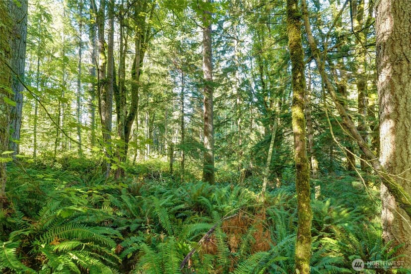 Property photo for 37000 SE 93rd Place, Snoqualmie photo 16