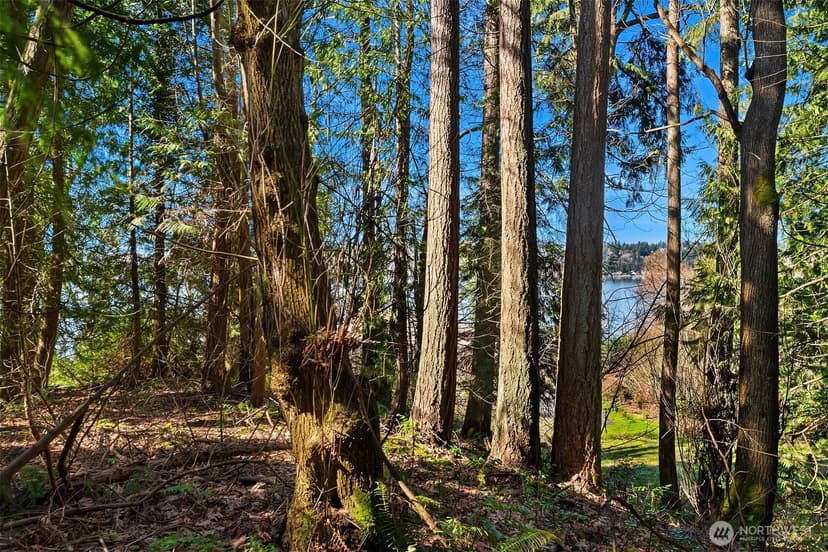 Property photo for 11 XX 205th Avenue NE, Sammamish photo 10
