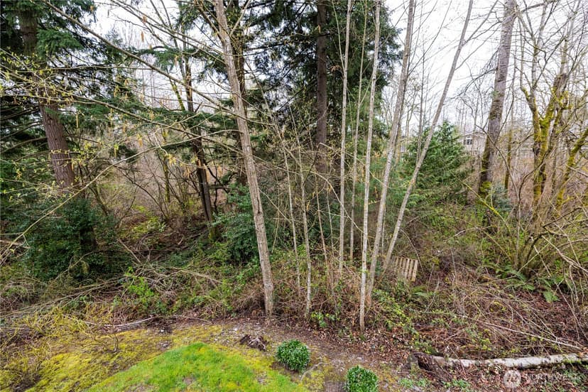 Property photo for 11556 170th Court, Renton photo 22