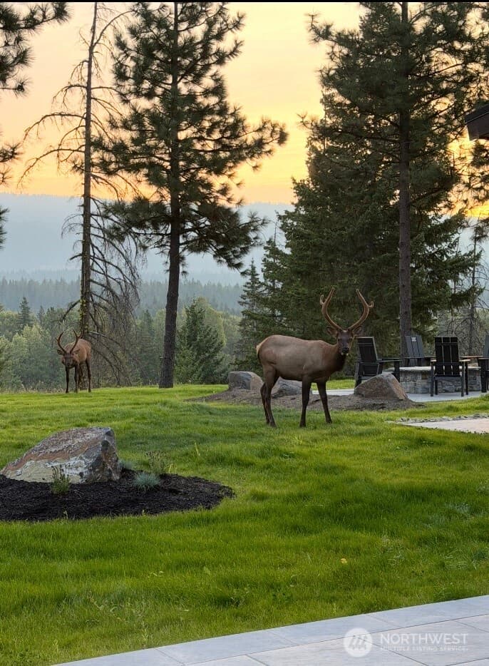Property photo for 581 Gold Leaf Lane, Cle Elum photo 37