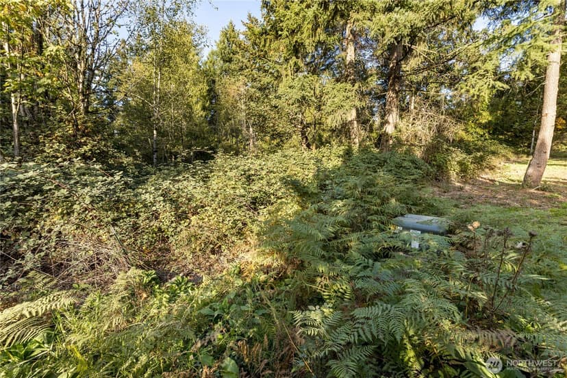 Property photo for 16421 193rd Avenue E, Bonney Lake photo 4
