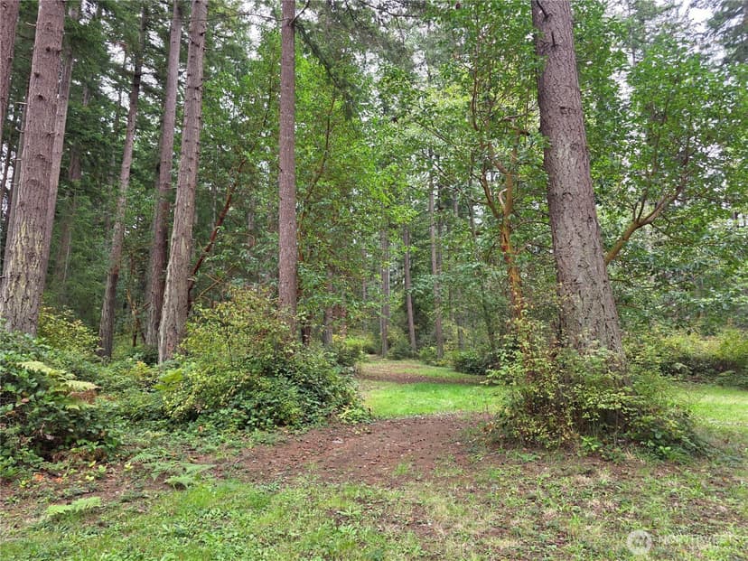 Property photo for 167 Barnum Point Road, Camano Island photo 24