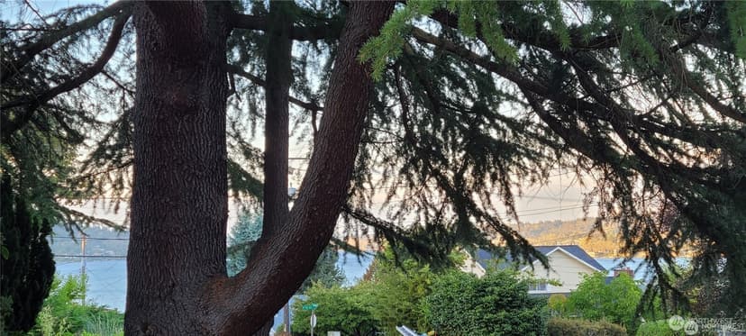Property photo for 11237 84th Avenue S, Seattle photo 24