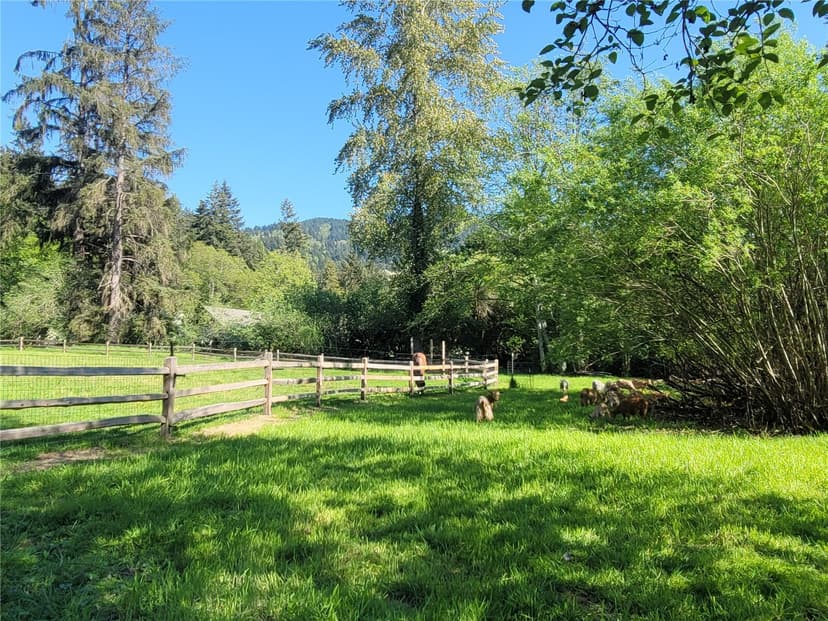 Property photo for 9620 SE 238th way, Issaquah photo 23