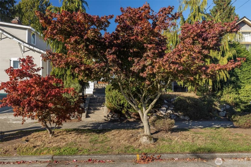 Property photo for 106 NE 54th Street, Seattle photo 35