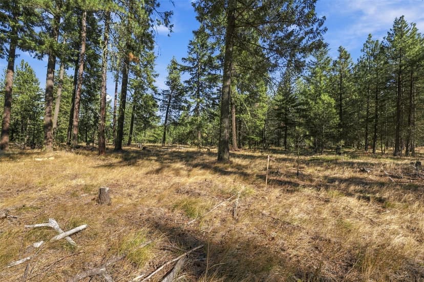 Property photo for 71 Gold Leaf Lane, Cle Elum photo 14