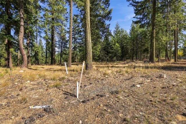 Property photo for 71 Gold Leaf Lane, Cle Elum photo 3