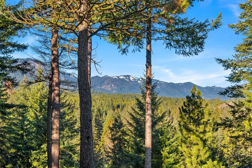 Property photo for 831 Gold Leaf Lane, Cle Elum photo 9