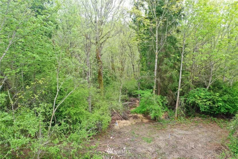 Property photo for 0 Mardell (lot 7) Court, Bainbridge Island photo 9