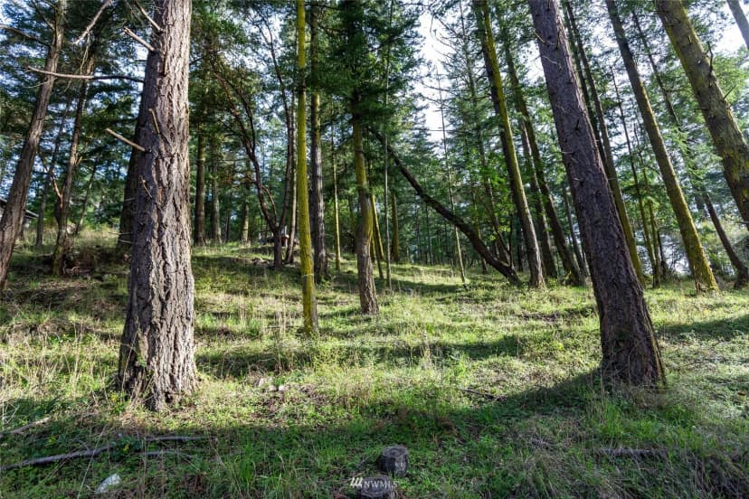 Property photo for 0 Afterglow Drive, San Juan Island photo 15