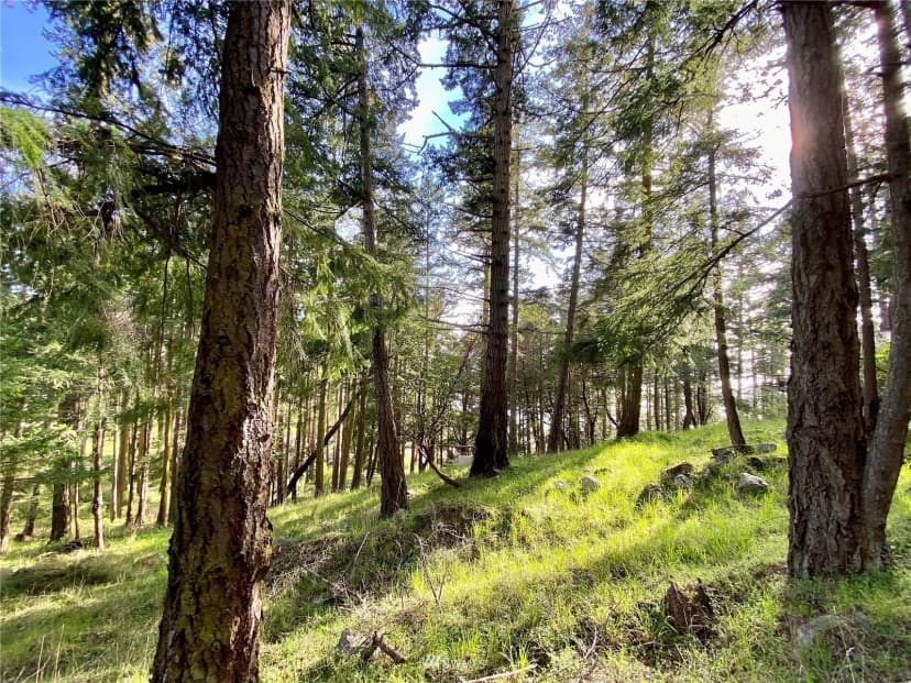 Property photo for 0 Afterglow Drive, San Juan Island photo 12