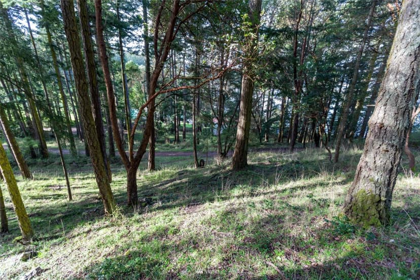 Property photo for 0 Afterglow Drive, San Juan Island photo 19